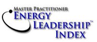 Master Practitioner Energy Leadership Index